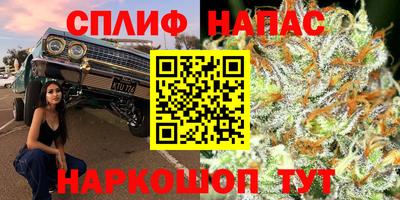 альфа пвп Новокубанск
