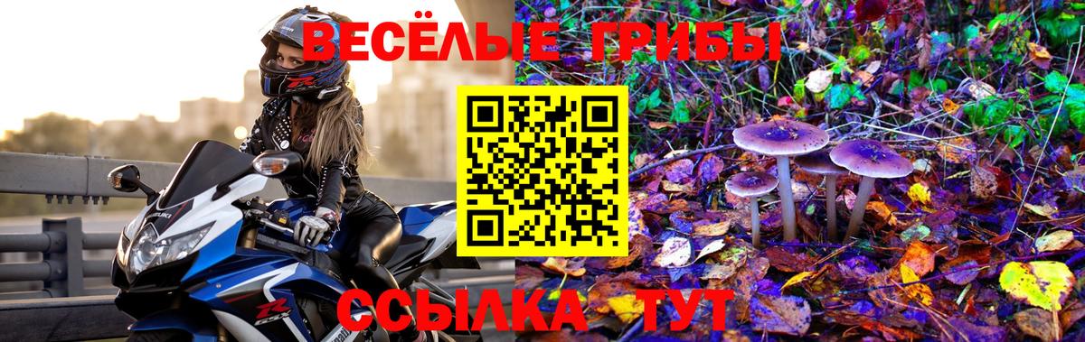 Курск  Псилоцибиновые грибы мицелий  Вход с VPN  Галлюциногенные грибы Magic Shrooms 
