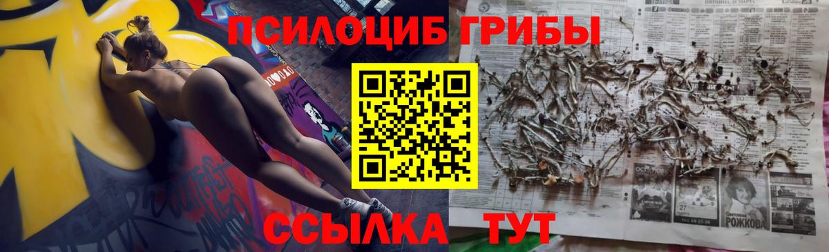 Галлюциногенные грибы ЛСД Курск